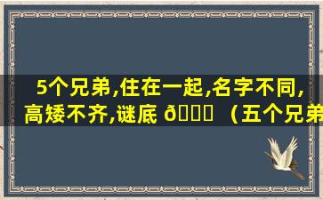 5个兄弟,住在一起,名字不同,高矮不齐,谜底 🐒 （五个兄弟住在一起名字不同高矮不齐打一人的身体部位）